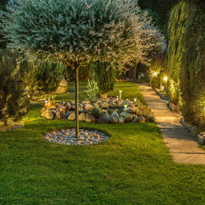 landscape lighting