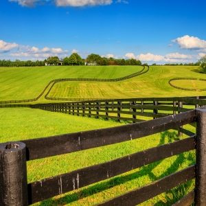 horse farm landscaping