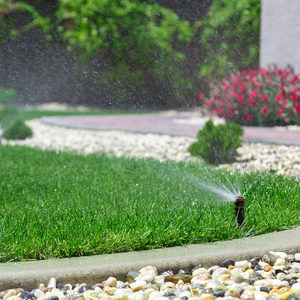 29468809 - automatic sprinkler watering grass